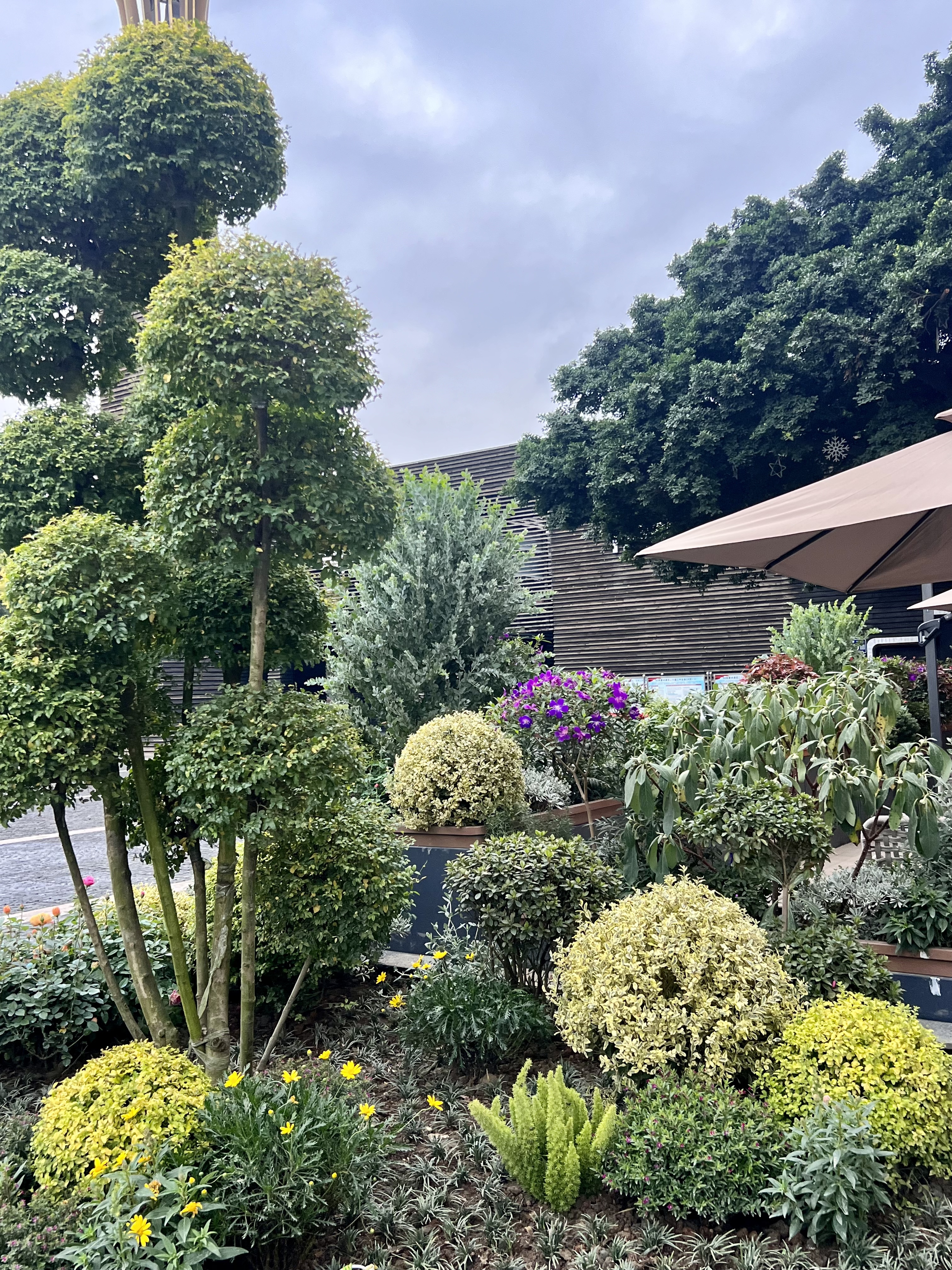 成都环球中心美居酒店