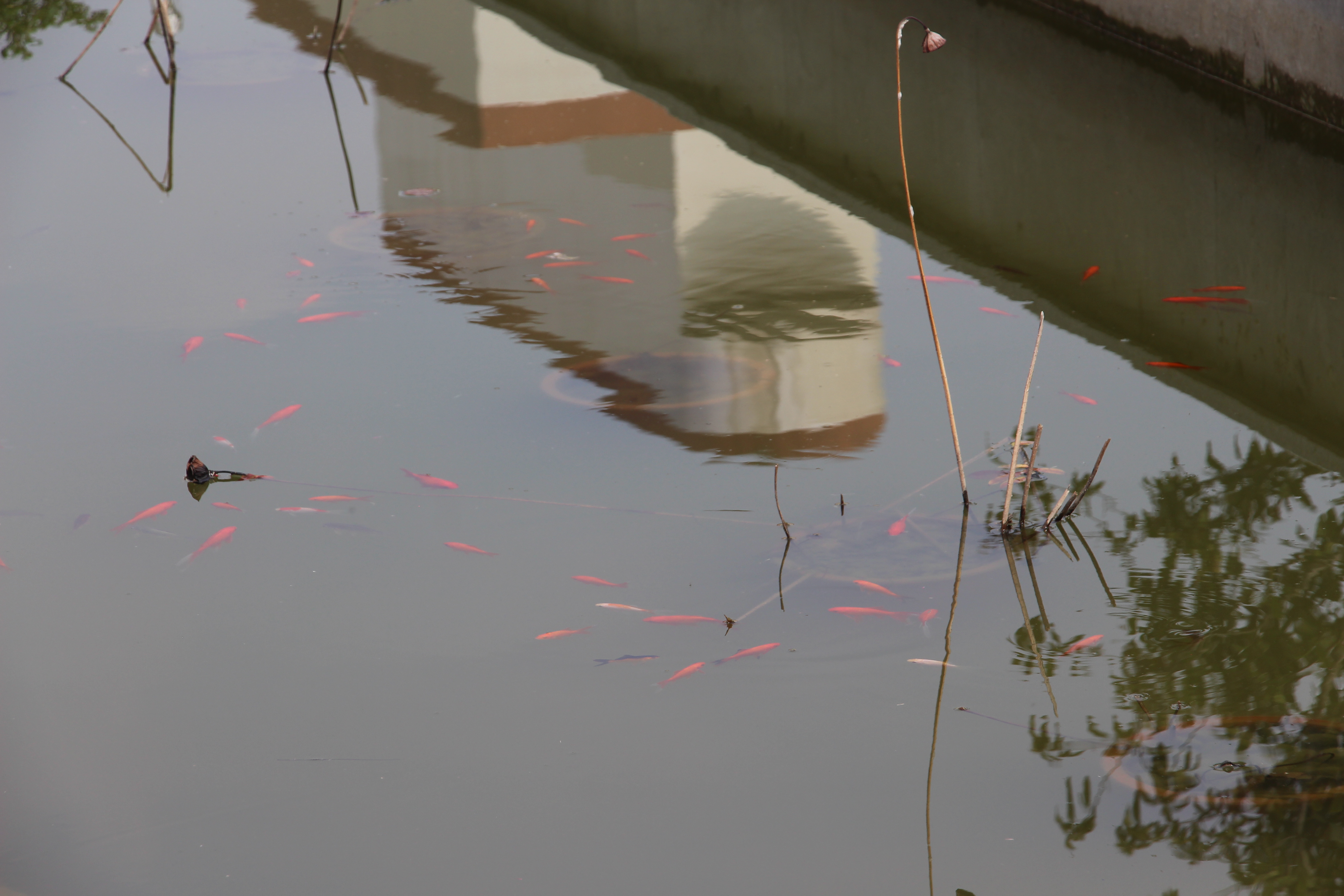 汉庭南京上元门地铁站永济大道酒店