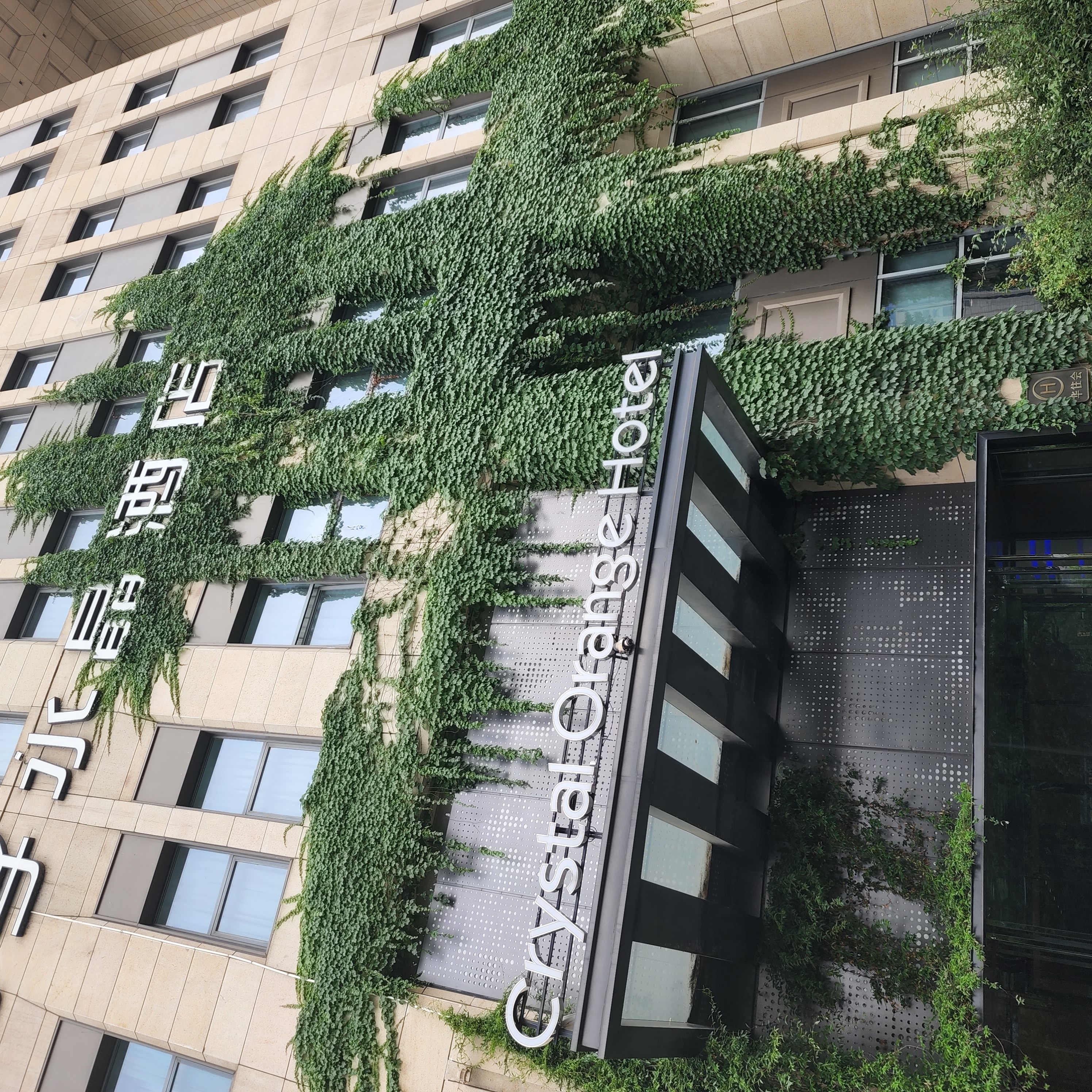 南京奥体中胜国际博览中心桔子水晶酒店