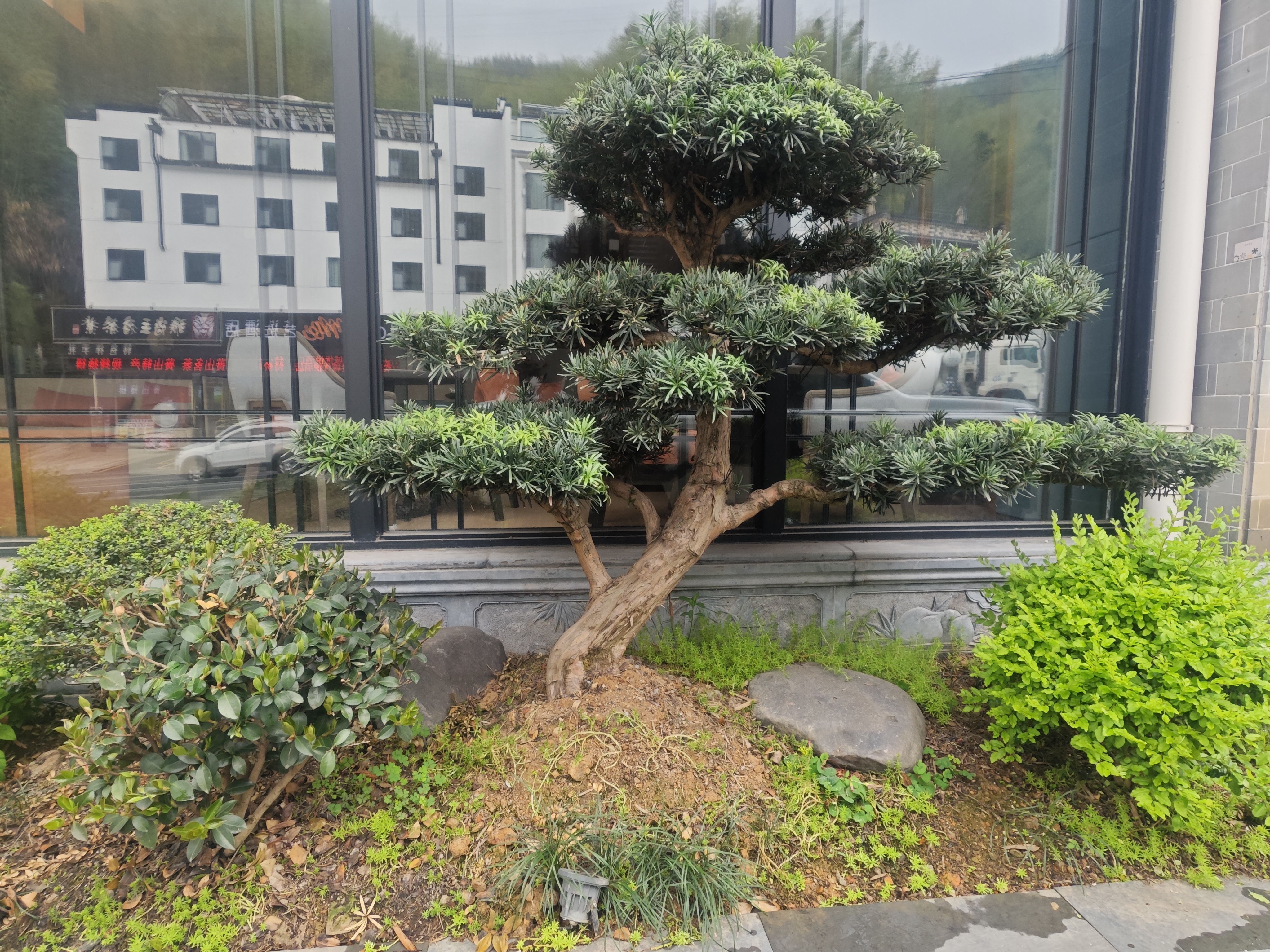 黄山风景区南大门换乘中心漫心府